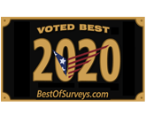 Surveys-2020